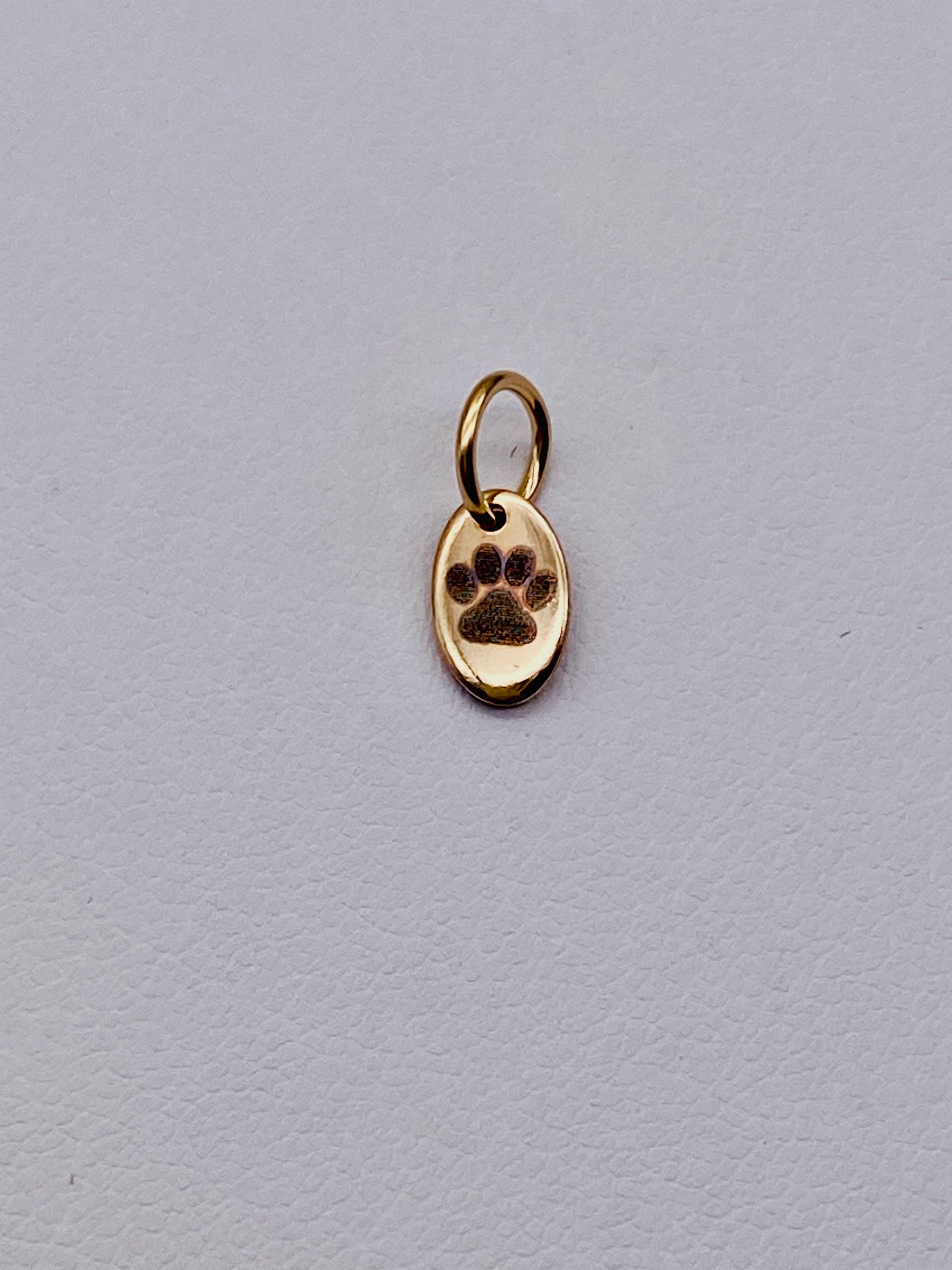 6MM OVAL Dog Paw Charm - Gold Filled