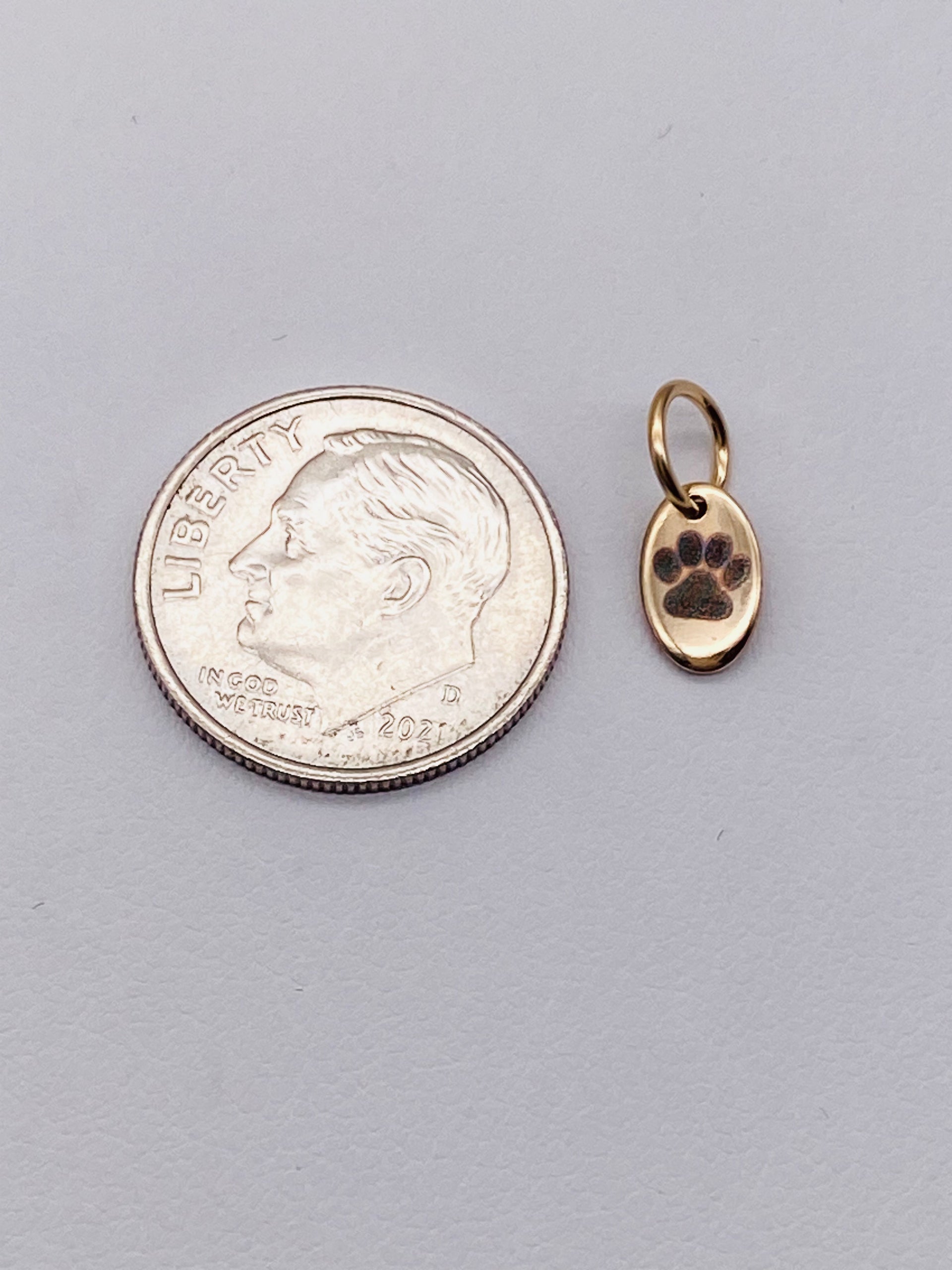 6MM OVAL Dog Paw Charm - Gold Filled