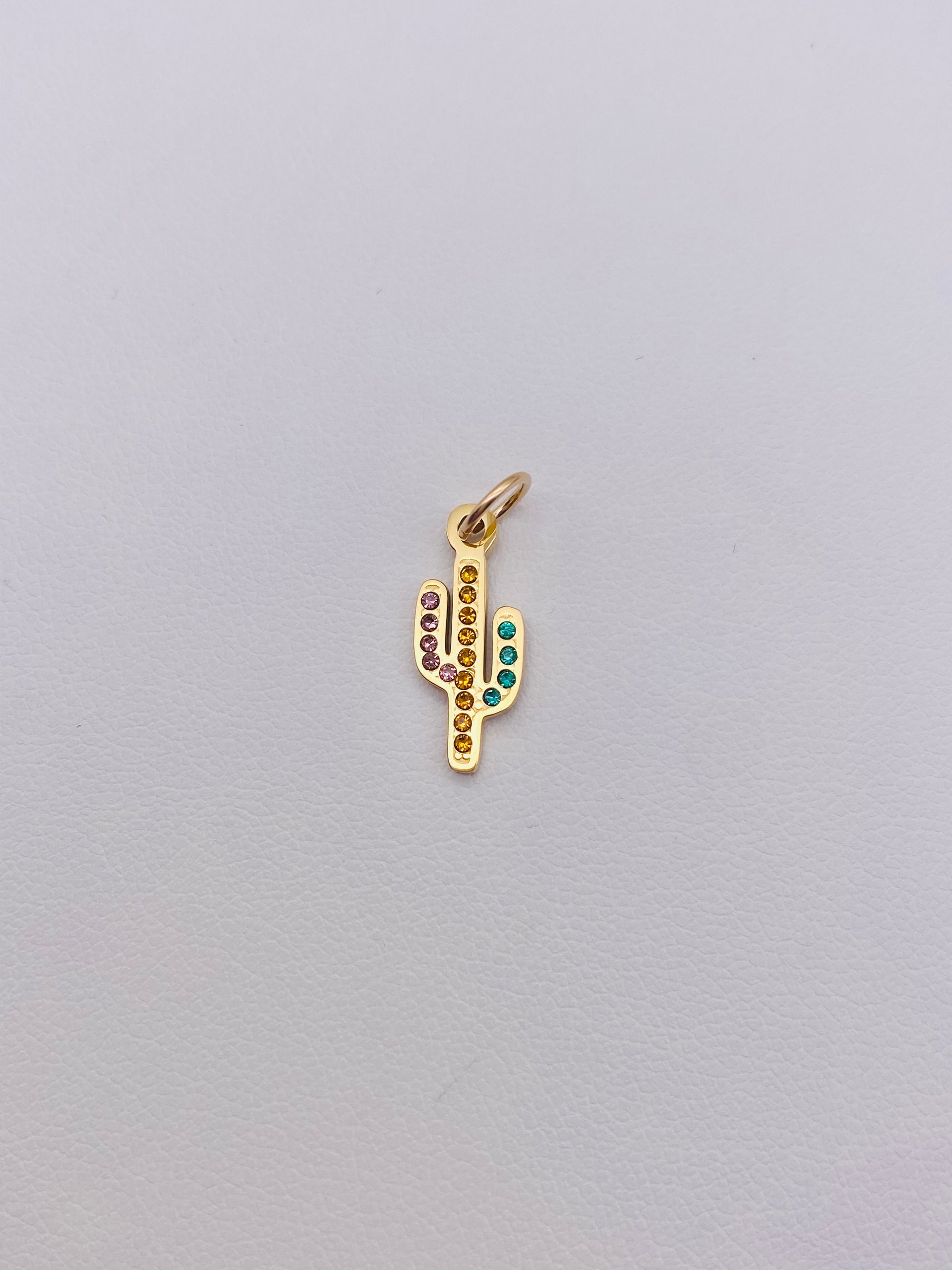 Cactus Charm